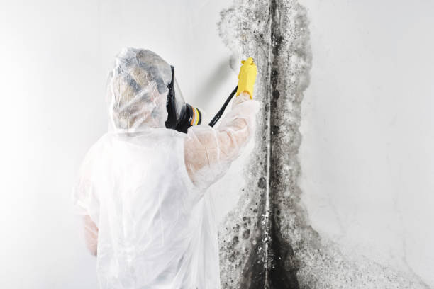 Best Ceiling water damage repair  in North Zanesville, OH